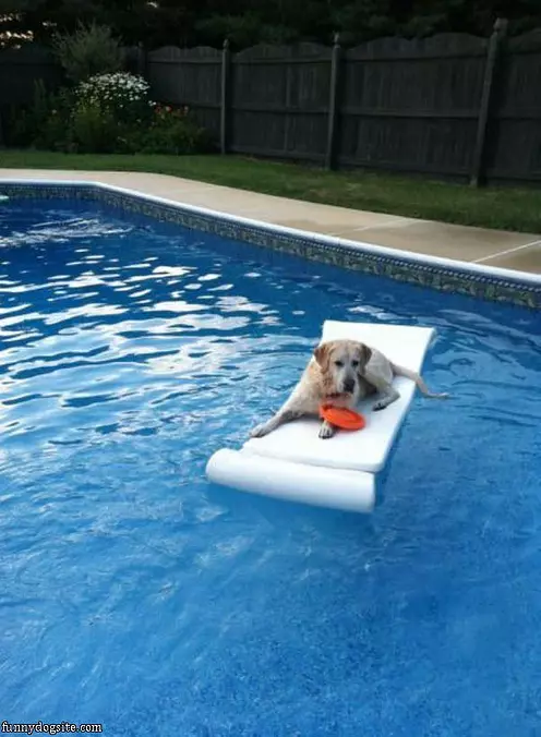 Relaxing In The Pool