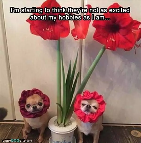 Not As Excited