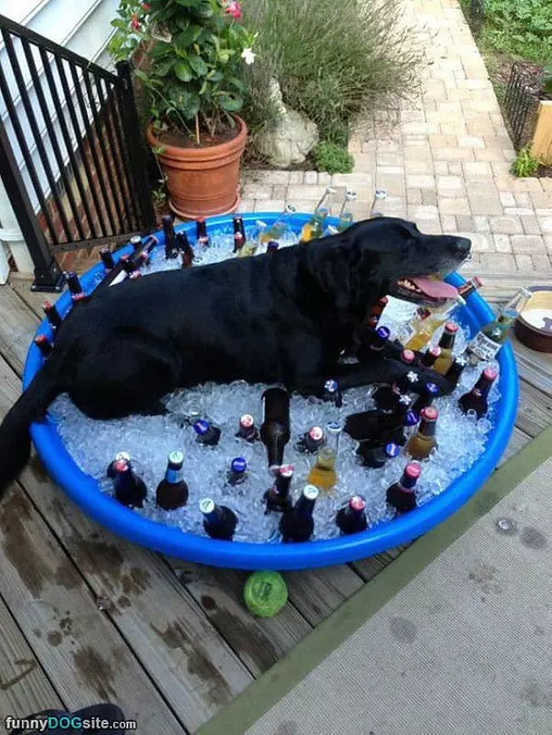 Cooling Off