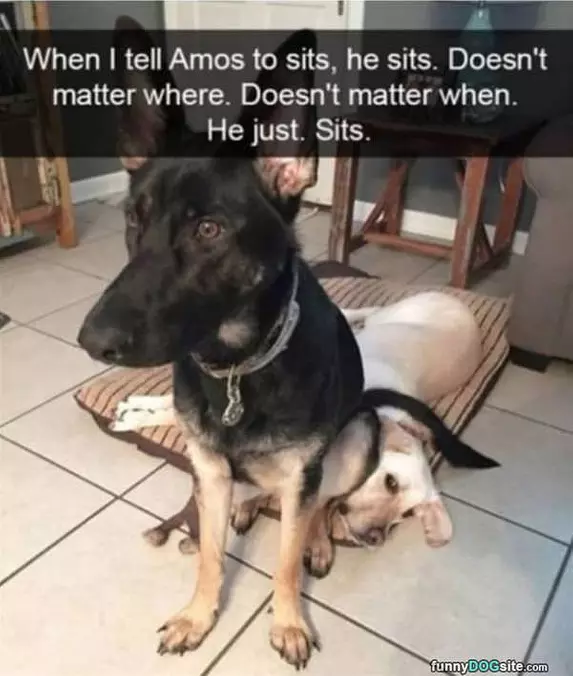 I Sit When I Am Told