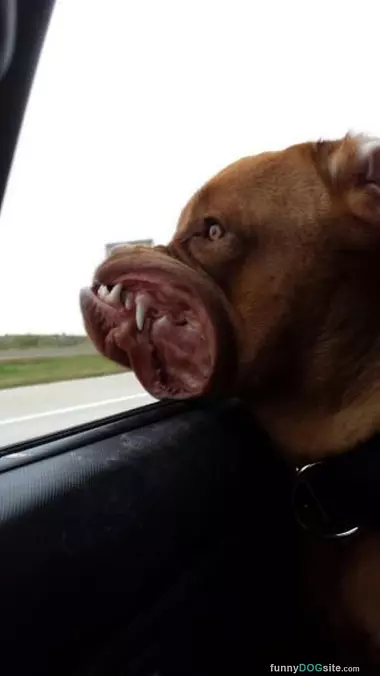 Wargghharble