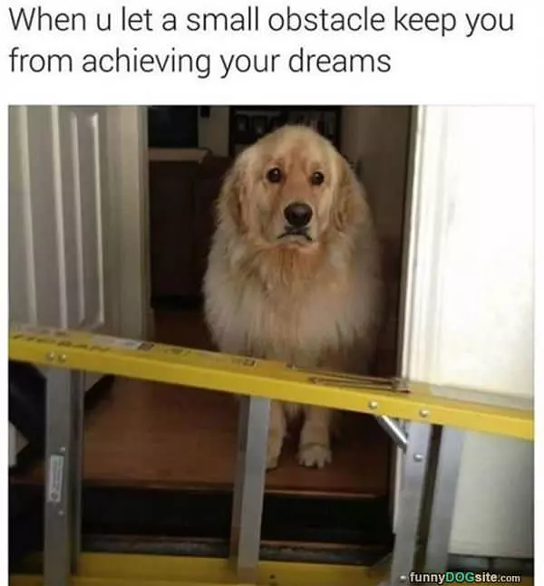 Do Not Let Obstacles Stop You