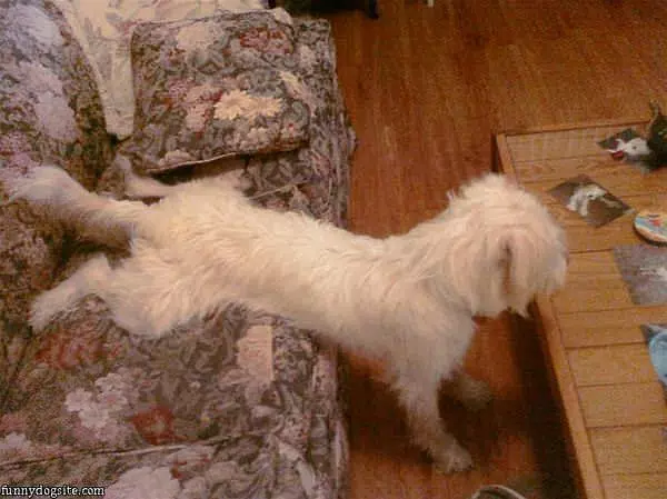 Sitting Like A Boss