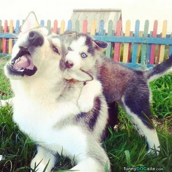 I Got Your Ear