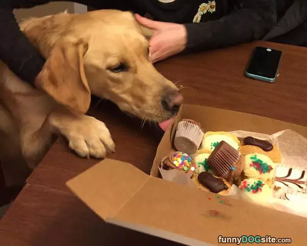 Caught In The Act