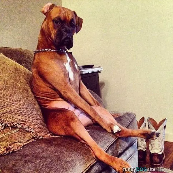 Very Relaxing Sit