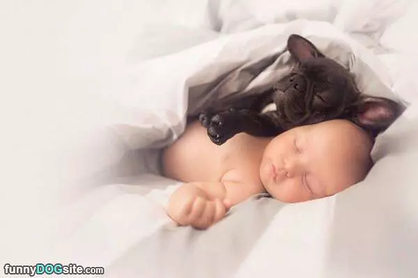 Cute Sleepers