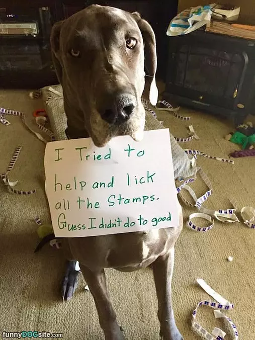 Tried To Lick The Stamps