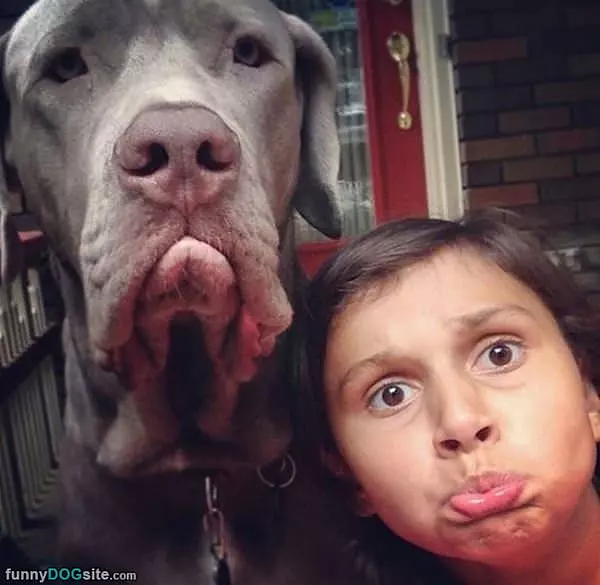 Pouting Faces
