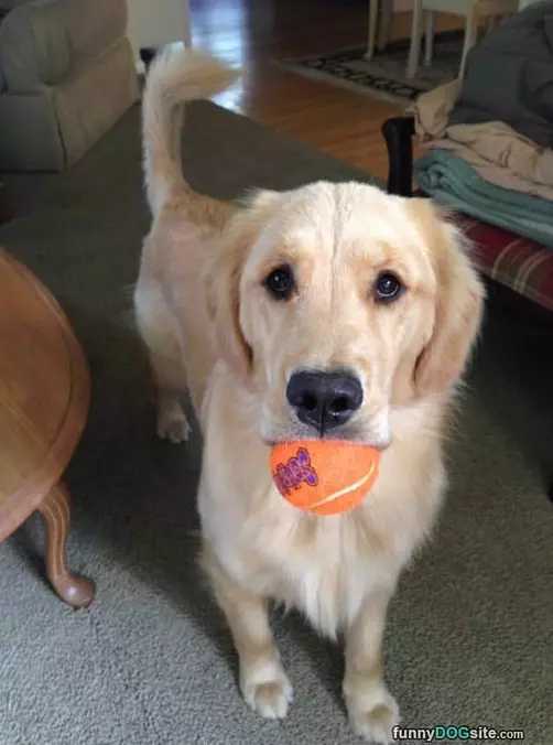 I Got This For You