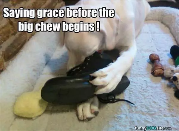 Saying Grace