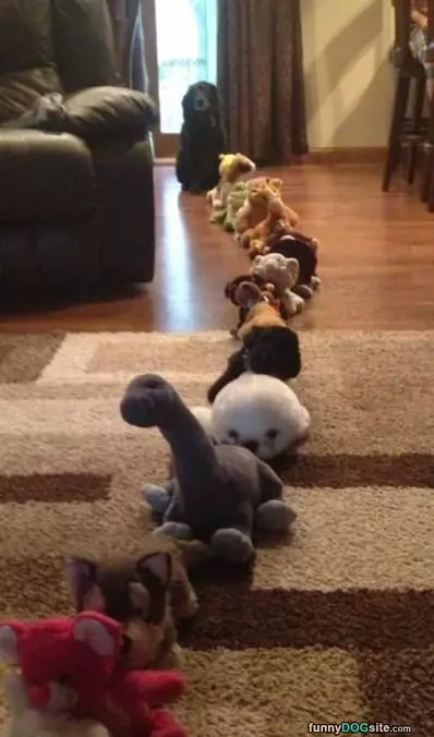 Get In Line
