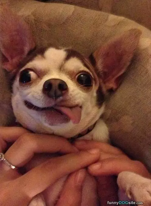 Crazy Eyes
