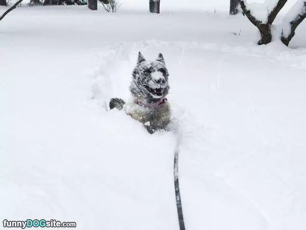 The Snow Is So Deep