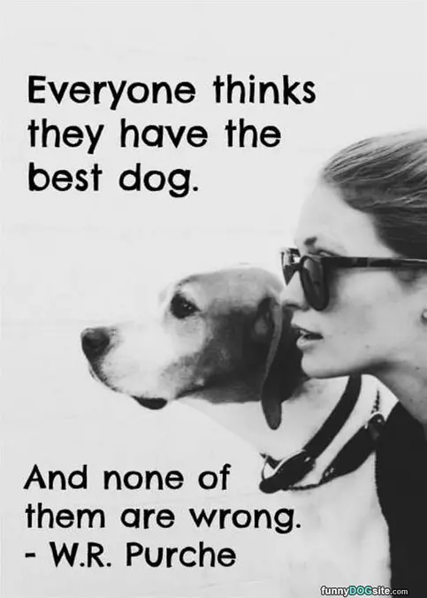 They All Have The Best Dog