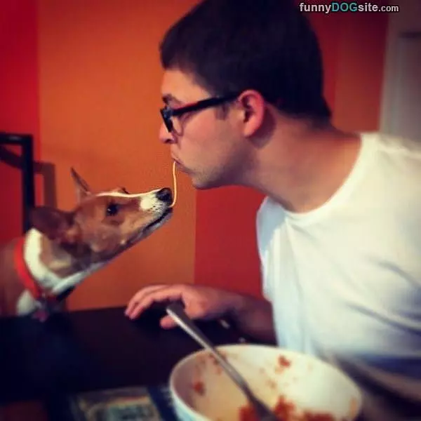 Sharing The Spaghetti