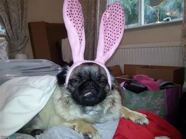 Is It Easter Yet