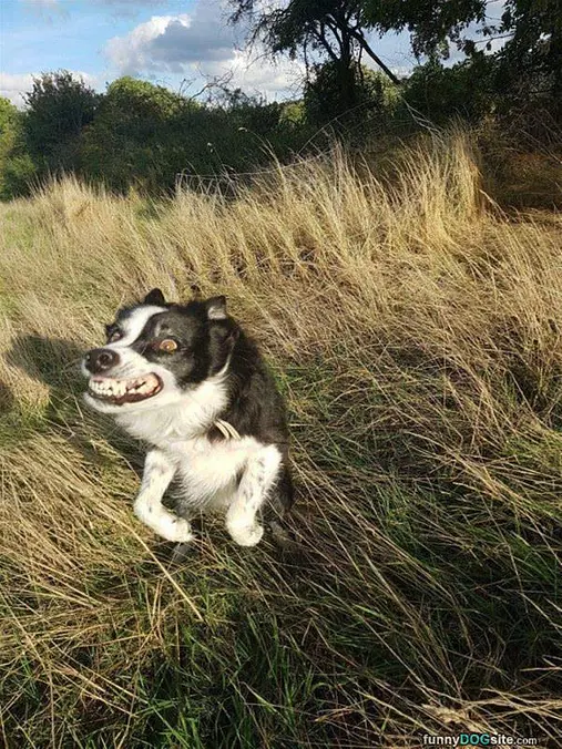 Rawrrrr I Got You