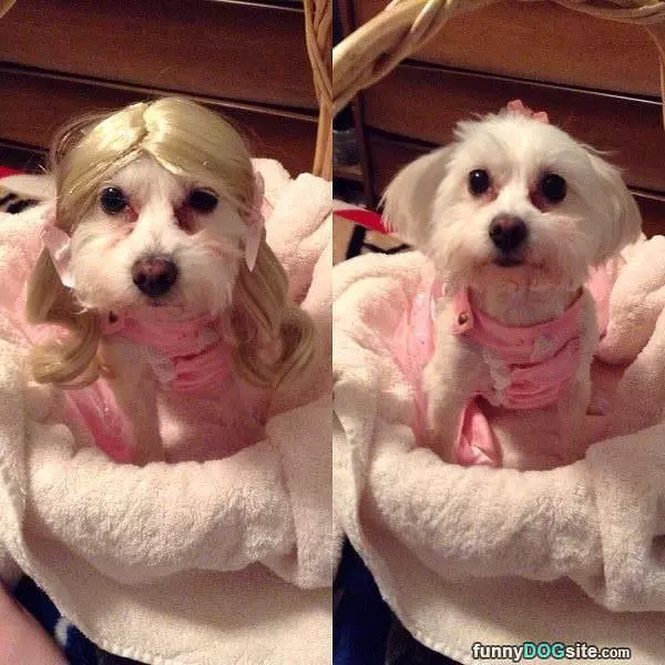 Looking Super Cute
