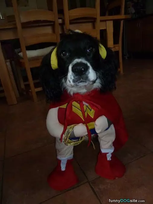 In Costume