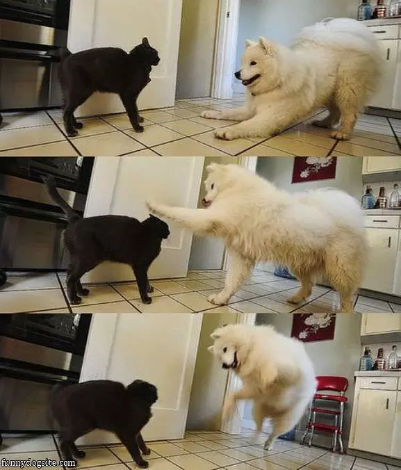 We Are Playing