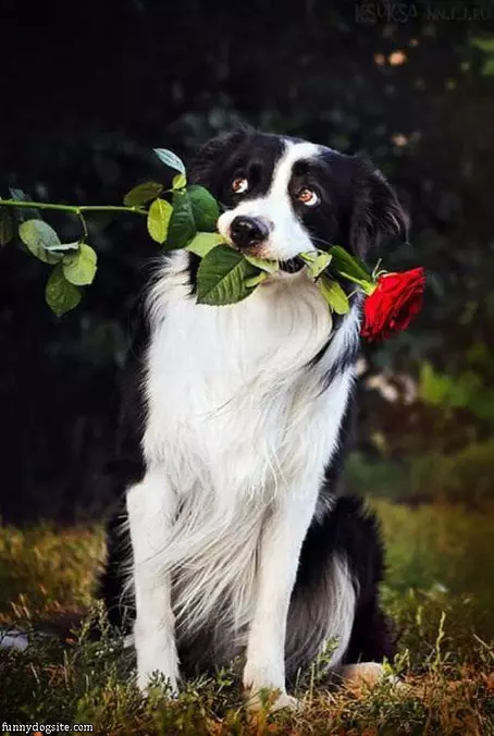 I Gots This For You