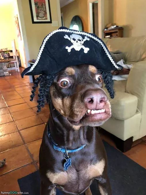 I Am A Pirate