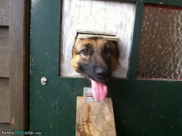 Head Popped Out