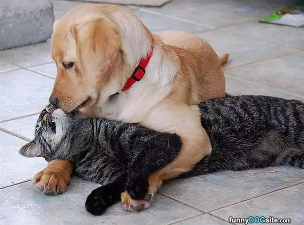 Give Me A Big Kiss