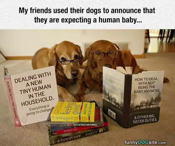 Expecting