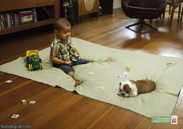 Playing Cards