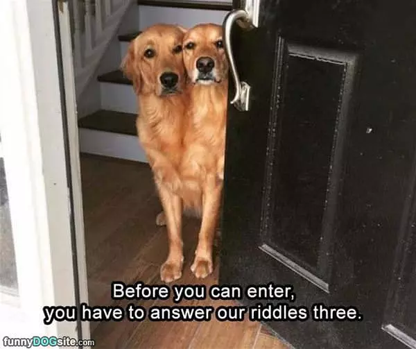 Before You Enter