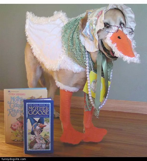 Mother Goose Dog