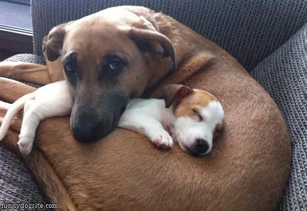 Good Way To Stay Warm