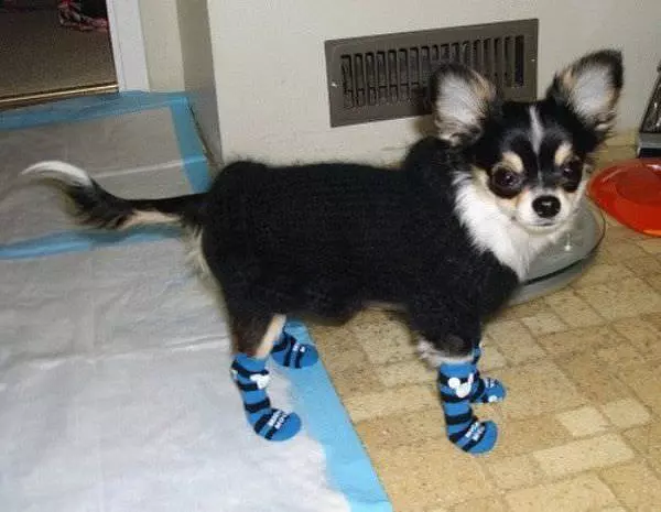 Nice Socks