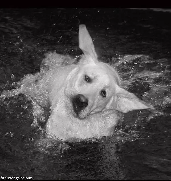 Water Makes Me Crazy