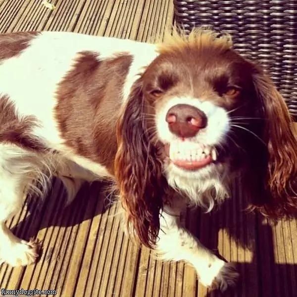Showing Off My Nice Clean Teeth
