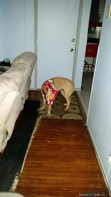 Help I Am Stuck