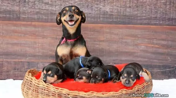 Proud Mom