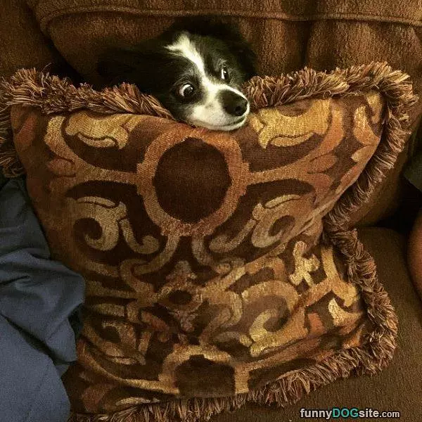 Under The Pillow