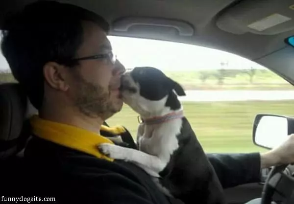 Kiss While Driving