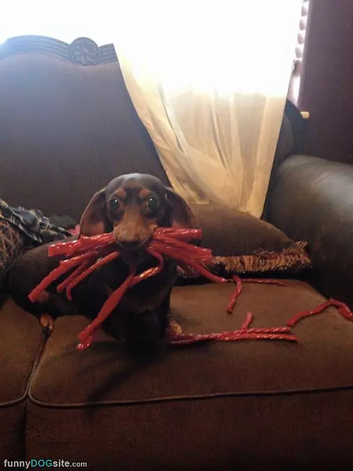 Mmmm Twizlers