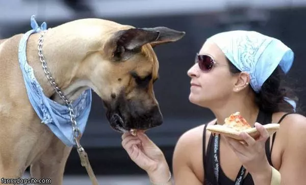 Sharing Pizza