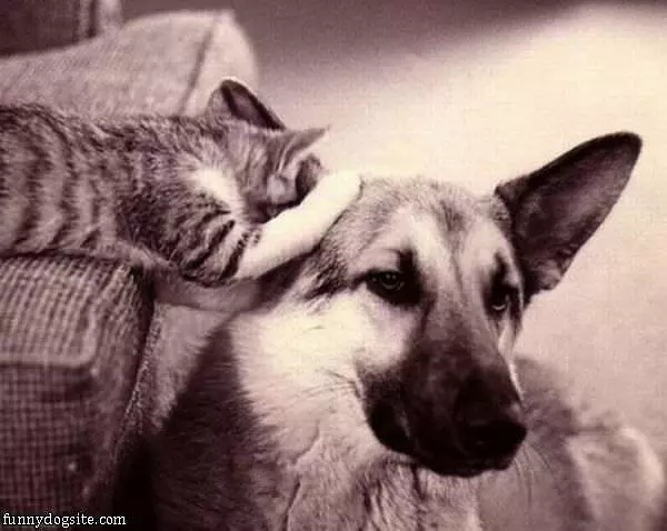 Whispering Secrets
