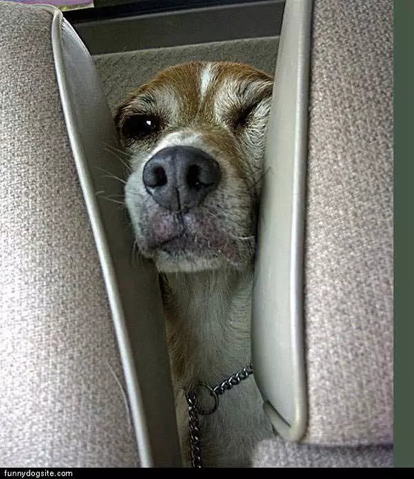 Going-for-a-ride