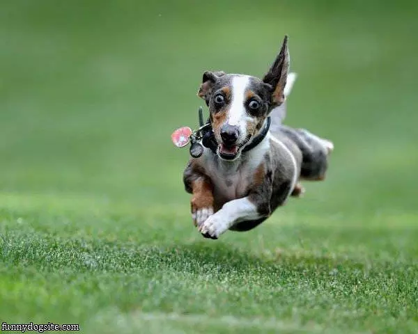 I Can Fly