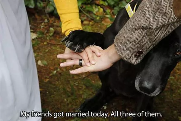Got Married Today