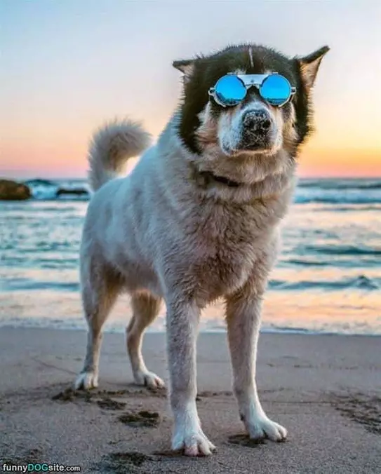 Have My Eye Protection