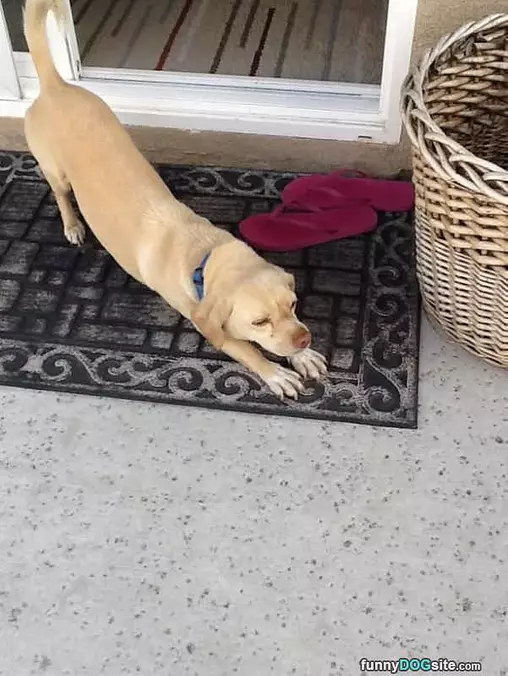 Time For A Nap