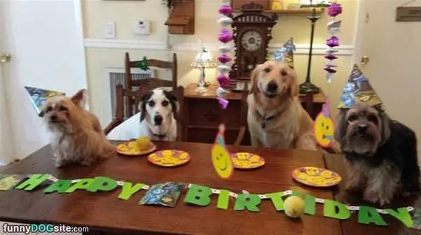 Big Birthday Party